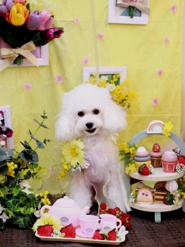 20230322ゆわちゃん